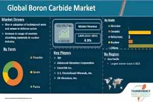 Boron Carbide