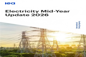 International Energy Agency (IEA)
